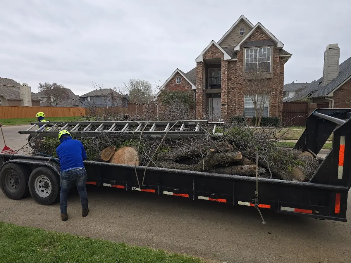 Expert Tree Fertilization with proper safety equipment in Emmett